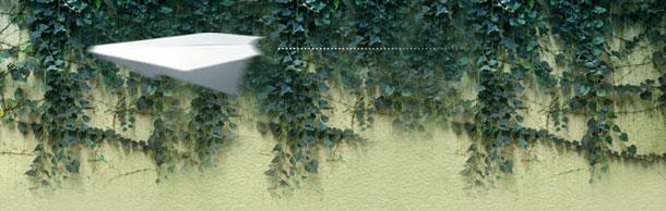 就是这个味儿---红烧排骨面作文