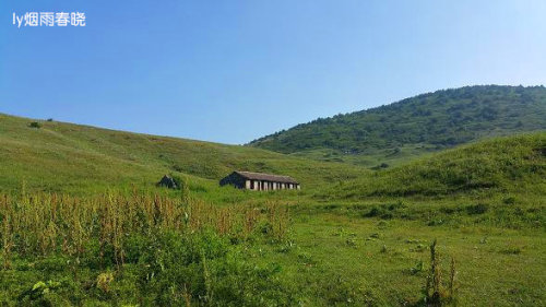 迷人的高山草甸——山西晋城行(五)(陌上花开)作文