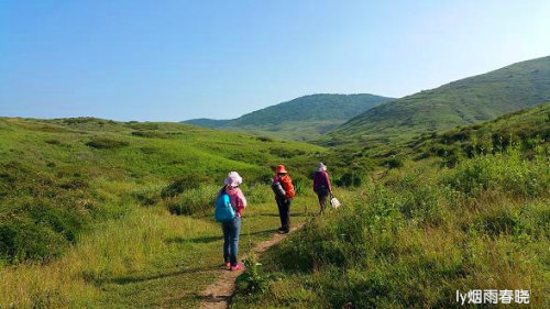 迷人的高山草甸——山西晋城行(五)(陌上花开)作文