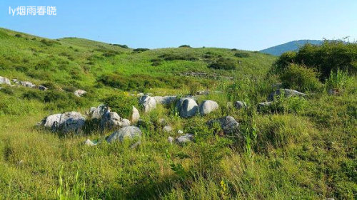 迷人的高山草甸——山西晋城行(五)(陌上花开)作文