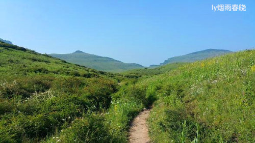 迷人的高山草甸——山西晋城行(五)(陌上花开)作文