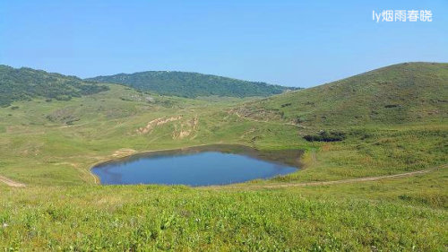 迷人的高山草甸——山西晋城行(五)(陌上花开)作文