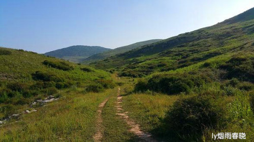 迷人的高山草甸——山西晋城行(五)(陌上花开)作文