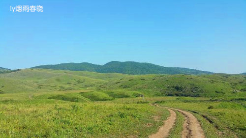 迷人的高山草甸——山西晋城行(五)(陌上花开)作文