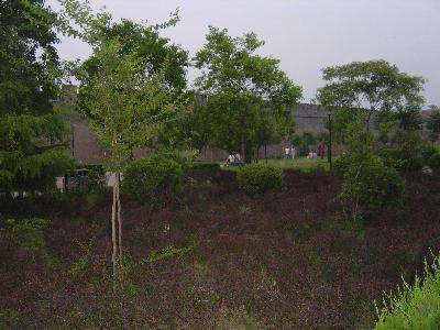 焕然一新的开封古城墙(图文)作文