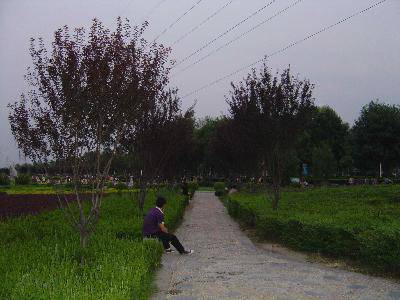 焕然一新的开封古城墙(图文)作文