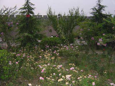 焕然一新的开封古城墙(图文)作文