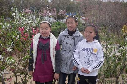 小小公园读书会作文