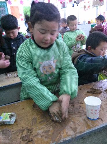 我做的小蘑菇作文