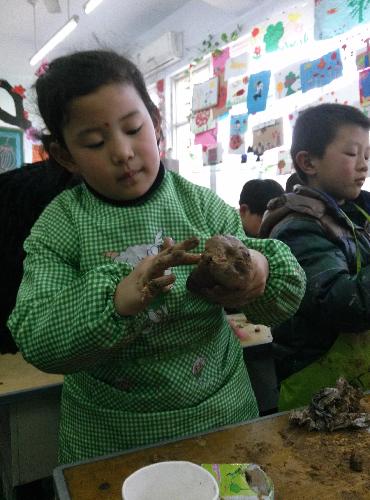 我做的小蘑菇作文