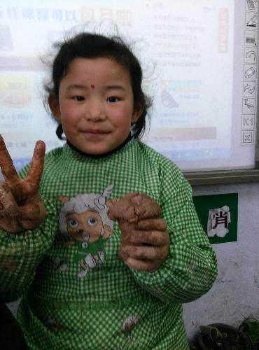 我做的小蘑菇作文