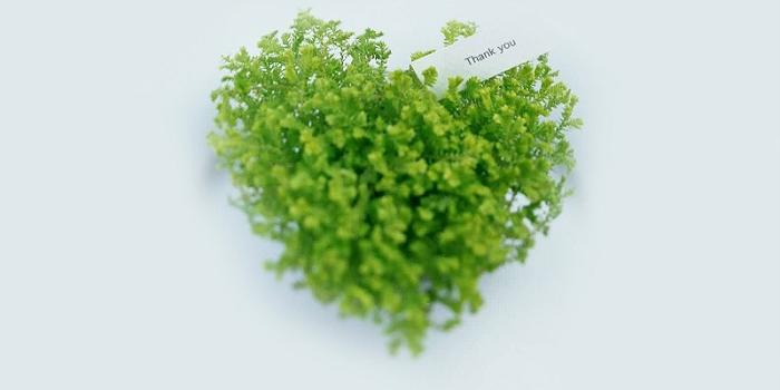 ϲֽ - ^_^Ŋ - ^_^Ŋ鲩