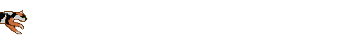 ģӡ«ʼ