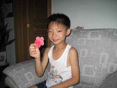 亲近科学,动手实验(四)——纸睡莲也会绽放作文