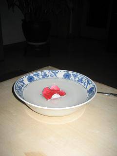 亲近科学,动手实验(四)——纸睡莲也会绽放作文