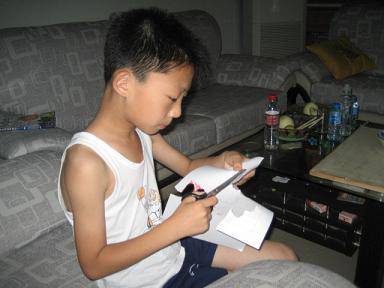 亲近科学,动手实验(四)——纸睡莲也会绽放作文