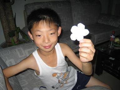 亲近科学,动手实验(四)——纸睡莲也会绽放作文