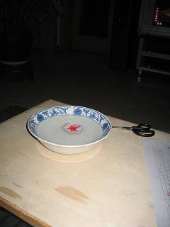 亲近科学,动手实验(四)——纸睡莲也会绽放作文