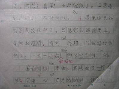 再写《团结就是力量》作文