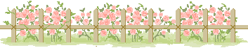 ڼƻ  ֶƶ  ڼ