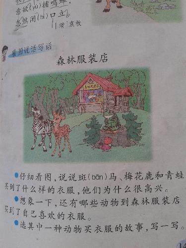 森林服装店作文