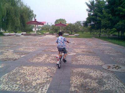 我学会骑单车了作文