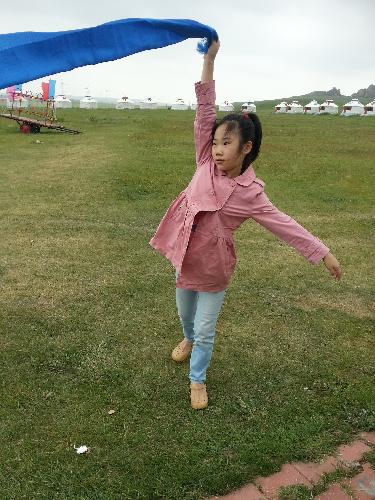 内蒙古之行--锡林郭勒草原作文