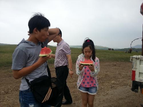 内蒙古之行--锡林郭勒草原作文