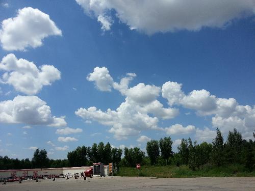 内蒙古之行--锡林郭勒草原作文