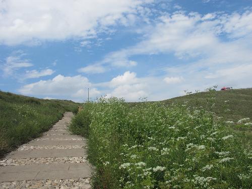 内蒙古之行--锡林郭勒草原作文