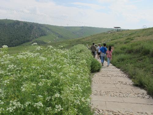 内蒙古之行--锡林郭勒草原作文
