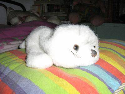 我养了一只小海狮作文