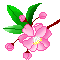 ĶοƷʮ  ϢĴ