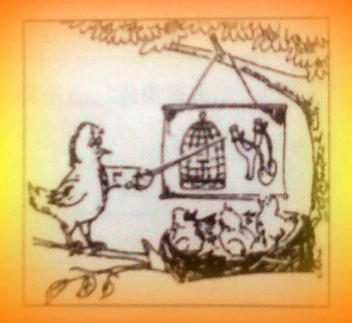 小鸟妈妈的课堂作文