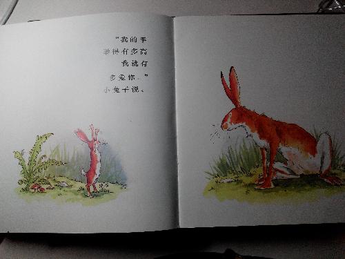 ӹ²жమ㡷