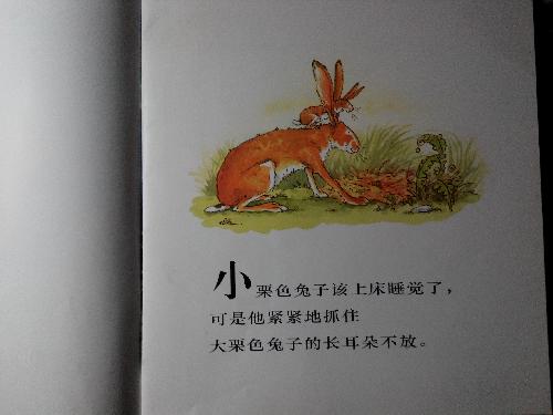 ӹ²жమ㡷