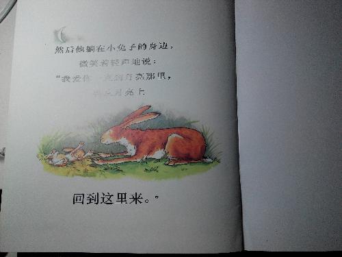 ӹ²жమ㡷