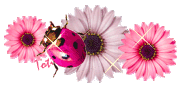 ӹӹ桢ɹ¡ѧġ
