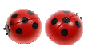 ӹӹ桢ɹ¡ѧġ