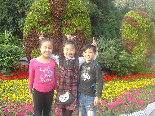 照片背后的故事(关于校讯通)作文