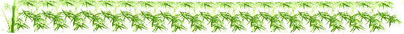 ҵǦʺ