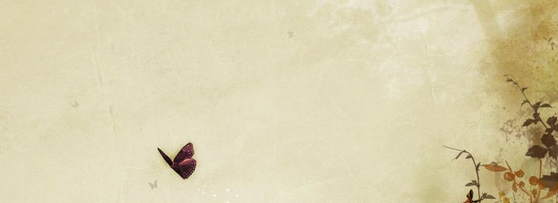 让愿望插上翅膀 静静飞作文