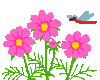 裬ʦǼܵ¶