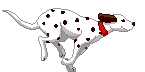 ӡϱġ