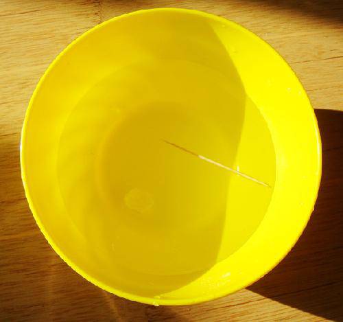 神奇的牙签作文