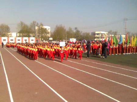 成功在于合作 —记2*100米接力赛作文