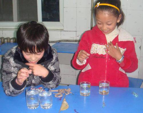 读书会,想说爱你不容易作文