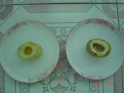 科学小实验(十):土豆爱上糖作文