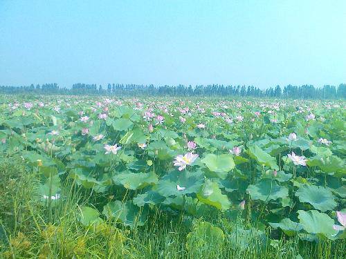 㼯  2013.08.15 ӳպɻ