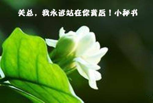 致关舒月的一封信作文